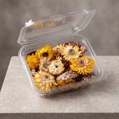 Festive Illustration Sweet Box