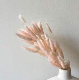 Pleated Pearl Ruffled Ribbon